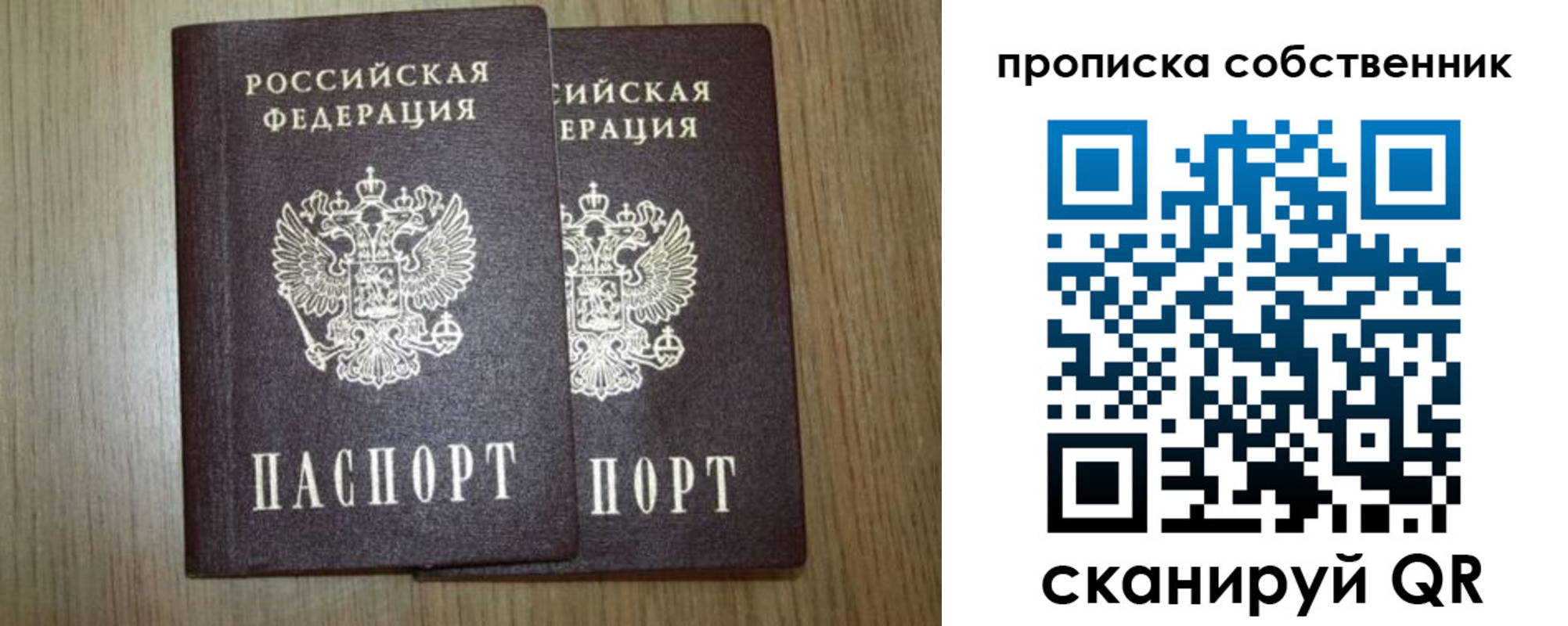прописка в Фрязино